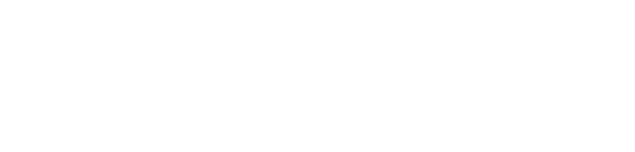 Braves Partners